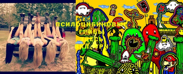 кокс Аркадак